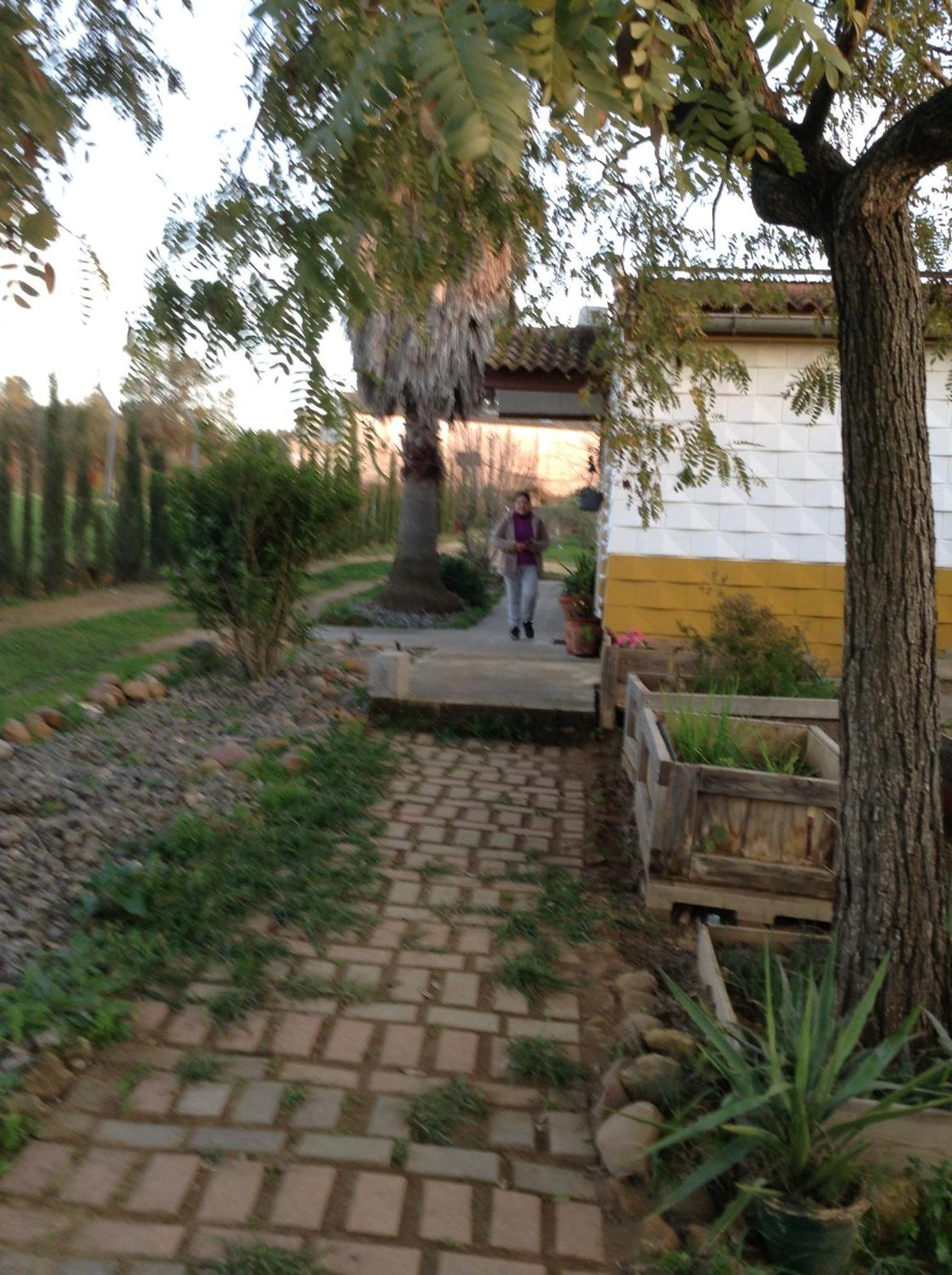 Huerta El Genoves Vila Carmona  Exterior foto