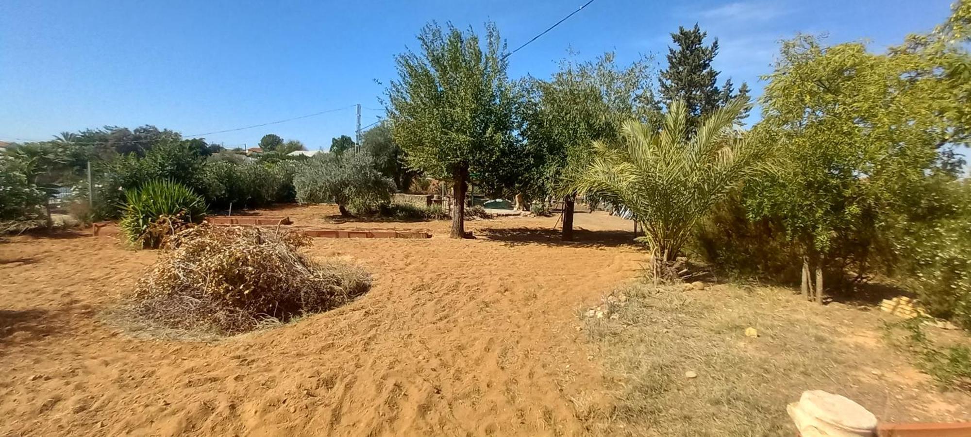 Huerta El Genoves Vila Carmona  Exterior foto